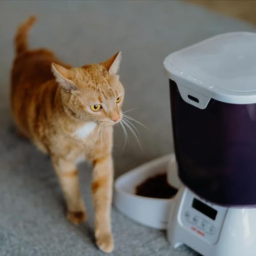 Cat Mate C3000 Automatic Pet Feeder, For Cats and Small Dogs with a Digital Timer, Suitable For Dry Pet Food, 3 Meal Settings, 3Kg Hopper