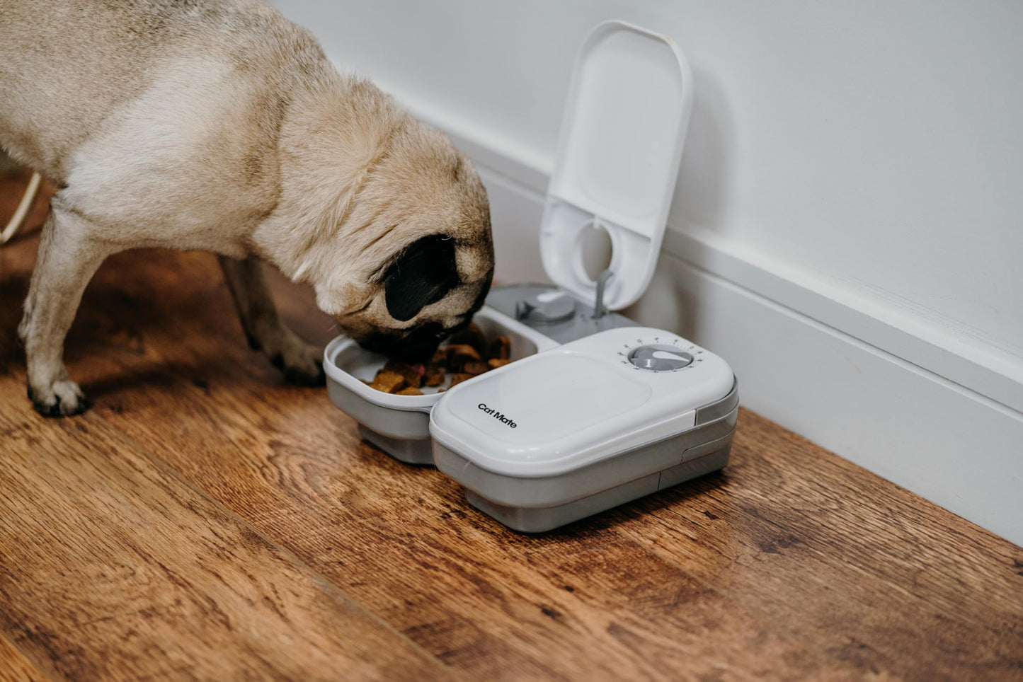 Cat Mate C200 2 Meal Automatic Pet Feeder with Timer and Ice Pack For Cats And Small Dogs, For use with Wet and Dry Food - White