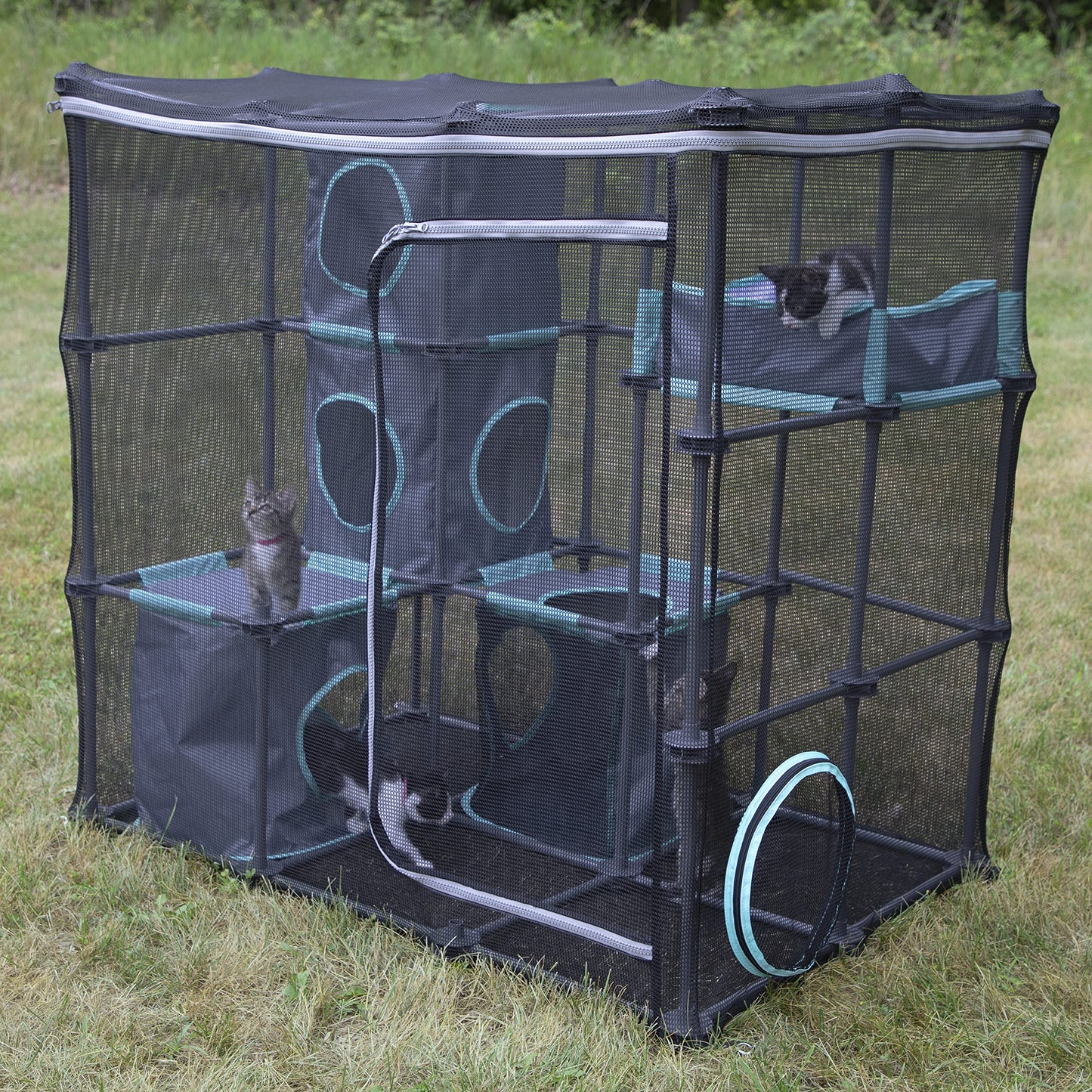 Kitty City Claw Indoor and Outdoor Mega Kit Cat Furniture, Cat Sleeper, Outdoor Kennel, Corrugate Cat Scratcher, Black